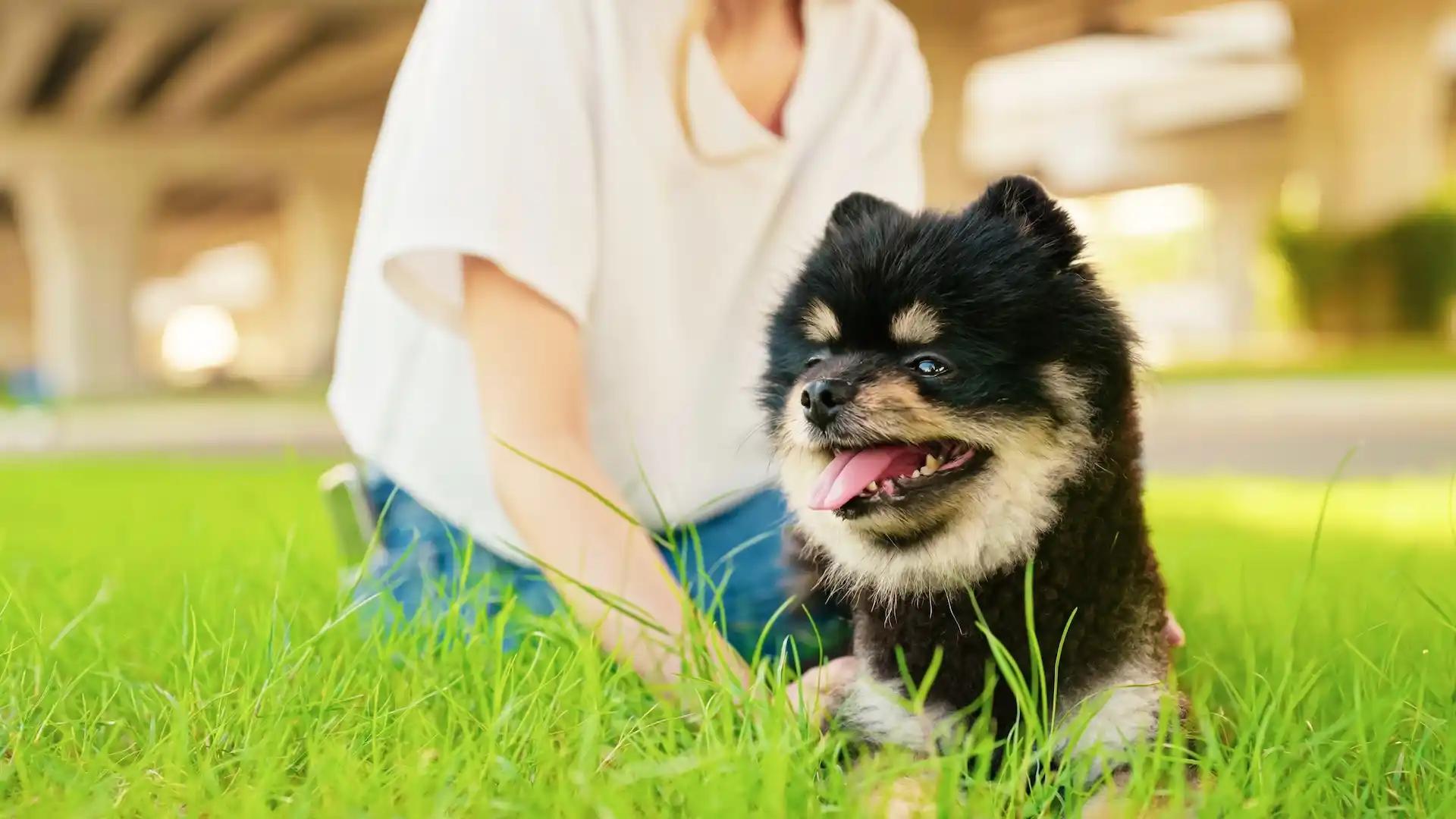 배경 이미지